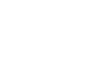 The Brand Establishment Institute